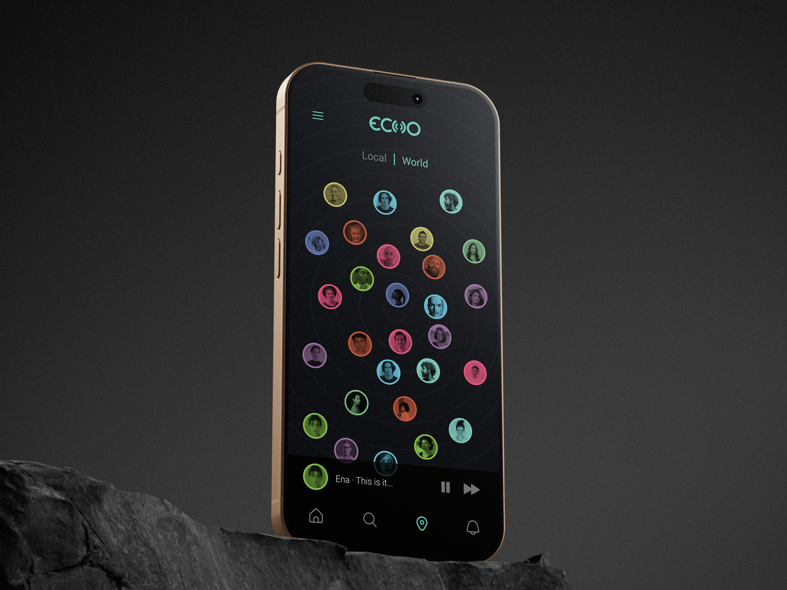 Echo audio interface screens